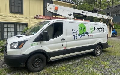 How Can I Find the Best Internet Service in the Southern Tier?