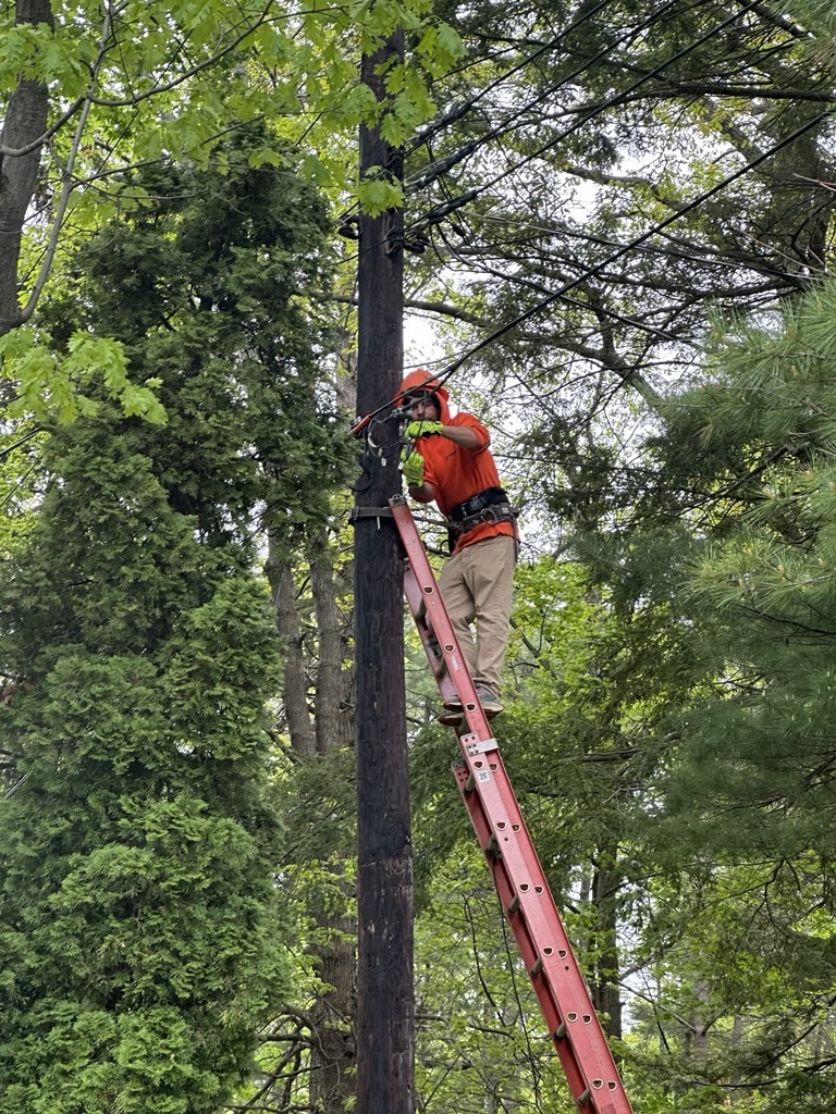 Haefele technician on a ladder fixing power lines
